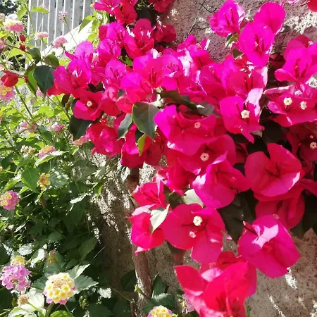 Apartamento Luka Dubrovnik