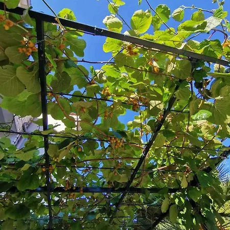 Luka Apartman Dubrovnik