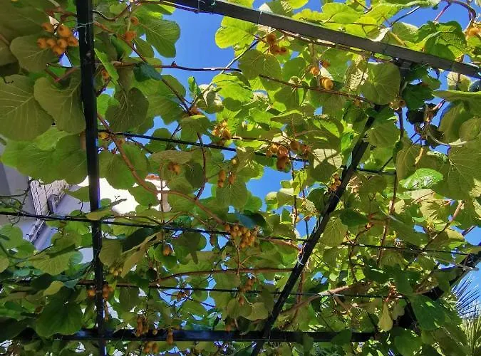 Luka Lejlighed Dubrovnik